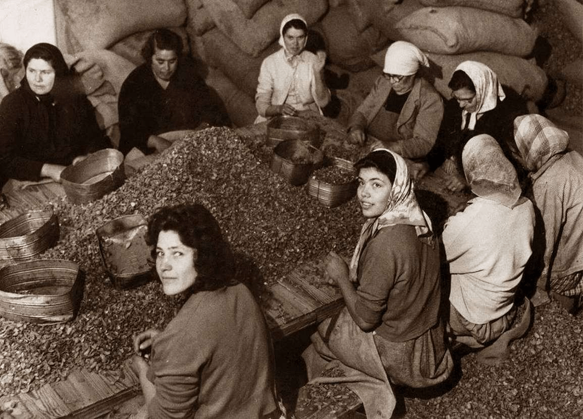 Foto antigua de mujeres trabajando la almendra